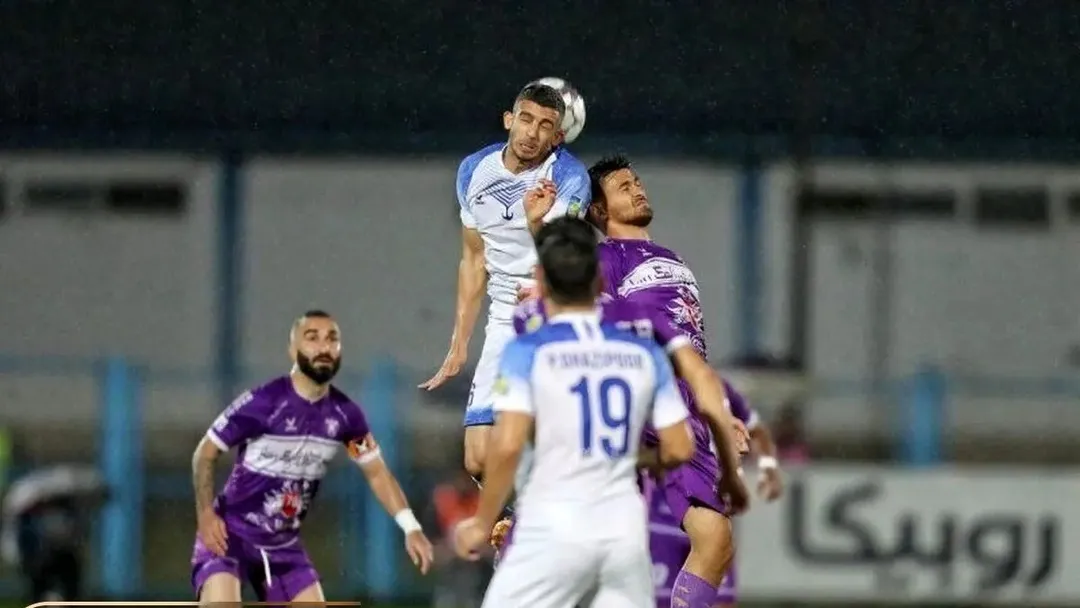 شکار قو توسط هوادار