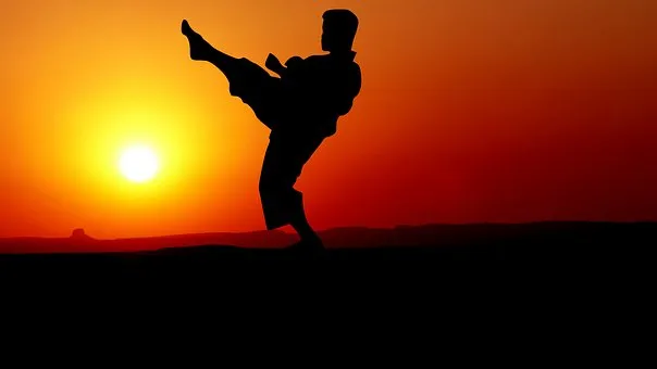 ريشه فساد در كاراته را قطع كنيد!
