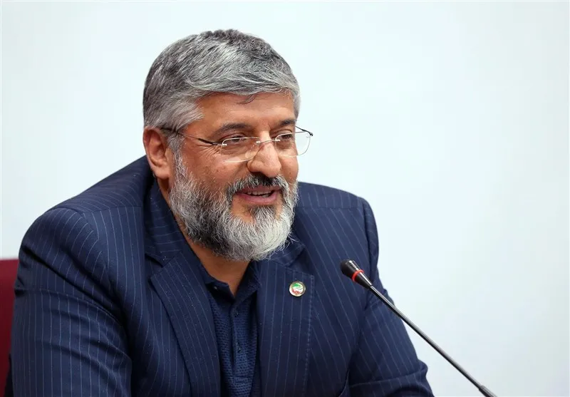 پولادگر:تعویق المپیک برای تکواندو اتفاق خوبی نبود