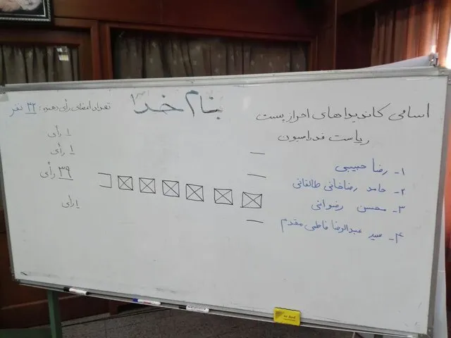 رضوانی رئیس فدراسیون شنا، شیرجه و واترپلو ماند