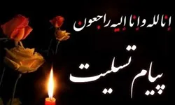 بهمن صالح نیا عزادار شد