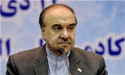 سلطانی فر: فدراسیون مشکل کی روش را حل می کند