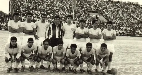 شاهین رفت و دارایی قهرمان شد