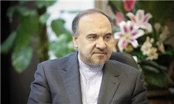 سلطانی‌فر: نمی‌گویم فساد در ورزش بیشتر از سایر حوزه‌هاست/ حضور گودرزی مؤثر بود