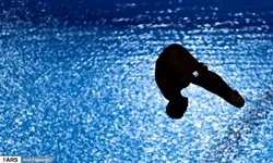 مسابقات جام جهانی شیرجه در ژاپن لغو شد