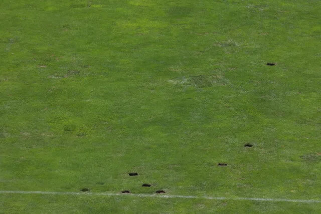 چمن آزادی به پیمانکار پرسپولیس سپرده شد